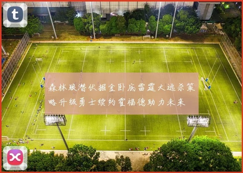森林狼潜伏掘金卧底雷霆大逃杀策略升级勇士续约霍福德助力未来
